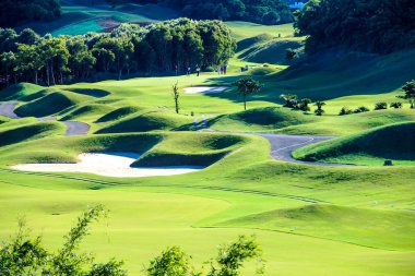 Golf sopasıyla güzel yeşil