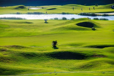 Golf sopasıyla güzel yeşil