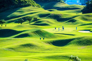Golf sopasıyla güzel yeşil
