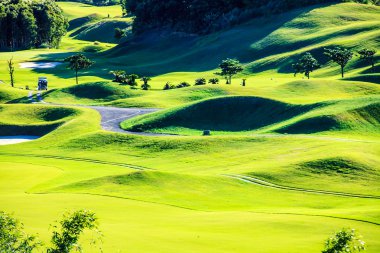 Golf sopasıyla güzel yeşil