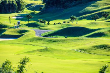 Golf sopasıyla güzel yeşil