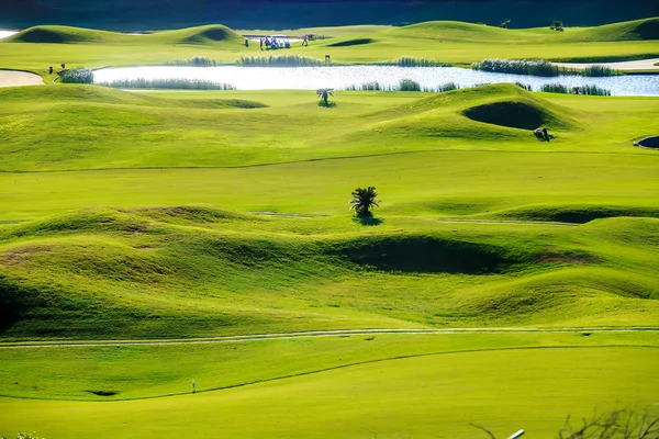 Golf sopasıyla güzel yeşil — Stok fotoğraf