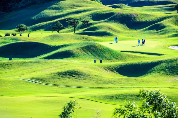 Clube de golfe com agradável verde — Fotografia de Stock