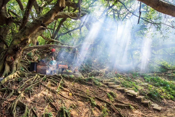 Gamla sten gjorde templet i miaoli, taiwan — Stockfoto