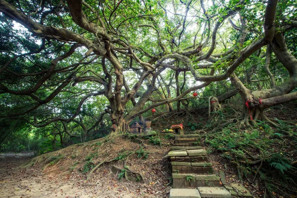 Ancien temple en pierre de Miaoli, Taiwan — Photo