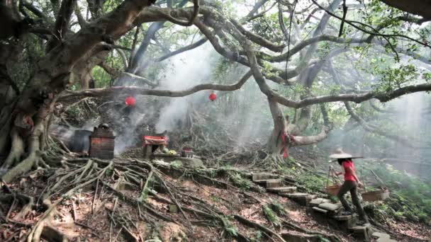 Oude stone maakte tempel in miaoli, taiwan — Stockvideo