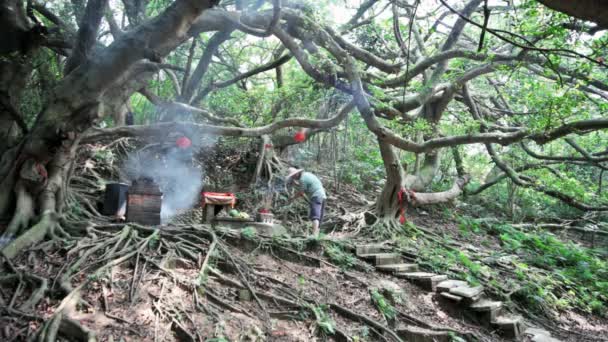 Ancien temple en pierre de Miaoli, Taiwan — Video