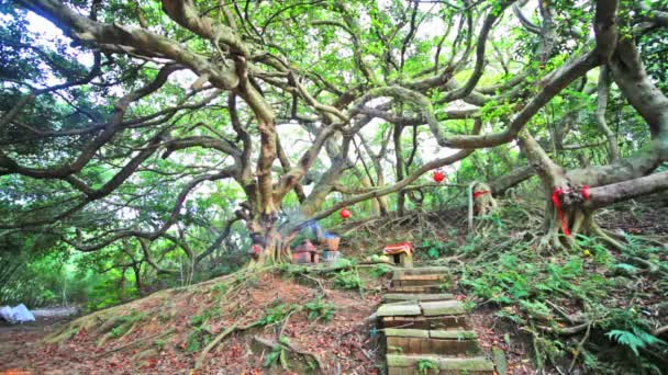 Старий камінь зробив храму в miaoli, Тайвань — стокове відео