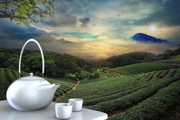 Teapot with nice background — Stock Photo, Image