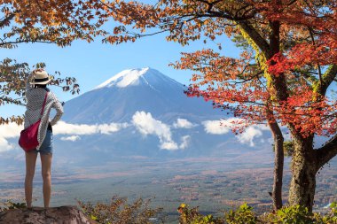 Japonya 'daki Fuji Dağı ve akçaağaç.