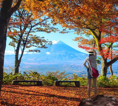 Japonya 'daki Fuji Dağı ve akçaağaç.