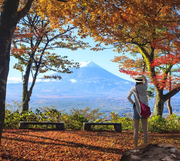 Montagne Fuji Érable Japon — Photo