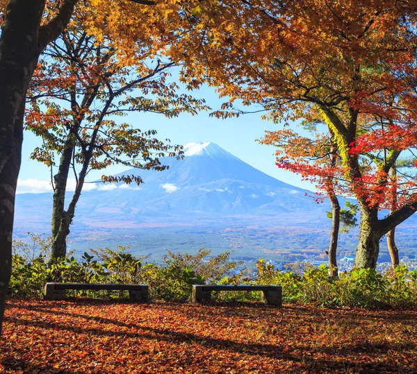 Montanha Fuji Árvore Bordo Japão — Fotografia de Stock