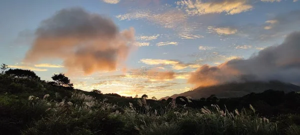 Qingtiangang Taiwan Říj 2021 Přírodní Zdroj Alpské Trávy Šangšanu Taipei — Stock fotografie