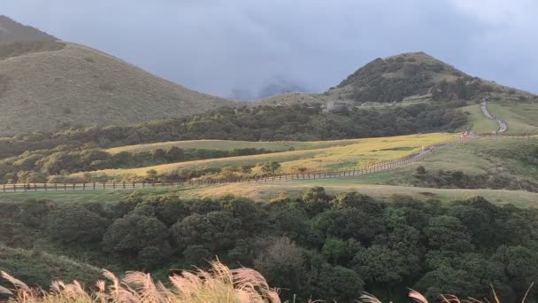 Qingtiangang Taiwan Oct 2021 Natural Source Alpine Grasses Shangshan Taipei — 비디오