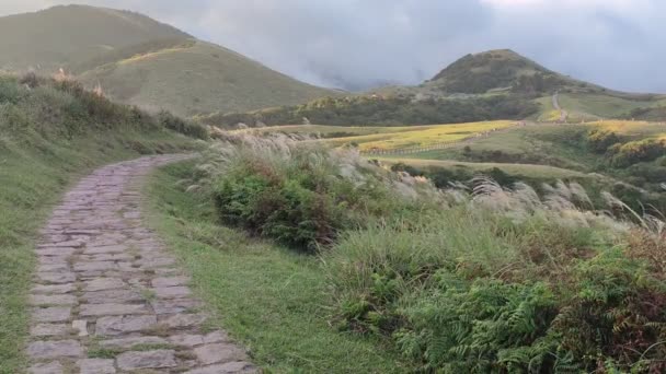 Qingtiangang Taiwan Oct 2021 Den Naturliga Källan Till Alpina Gräs — Stockvideo