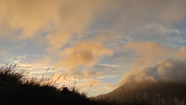 Qingtiangang Tajwan Październik 2021 Naturalne Źródło Traw Alpejskich Znajduje Się — Wideo stockowe
