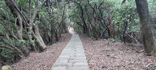 台湾新北市太平海景歩道2021年10月18日 — ストック写真