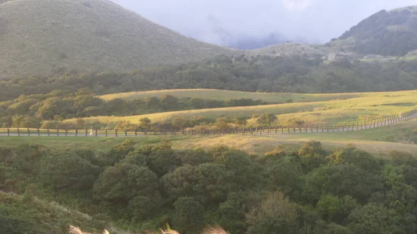 Цинтианган Тайвань Октября 2021 Года Естественный Источник Альпийских Трав Находится — стоковое фото