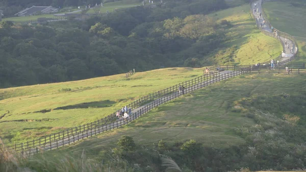 Qingtiangang Taiwan Oct 2021 Fonte Natural Gramíneas Alpinas Está Shangshan — Fotografia de Stock