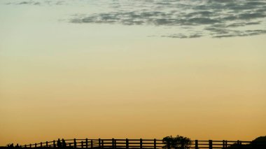 Qingtiangang, Tayvan-Ekim 15, 2021: Alp otlarının doğal kaynağı Tayvan 'ın Taipei şehrindeki Shangshan' da