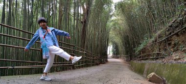 Wugayan Bambu Ormanı, Miaoli-Nov 3, 2021 deniz seviyesinden 1000 metre yukarıda, en güzel bambu ormanı sırrı, Tayvan