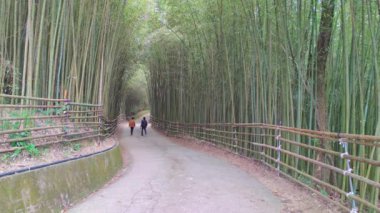 Sülfür Vadisi, Tayvan - 3 Kasım 2021: Yangmingshan Ulusal Parkı, Tayvan