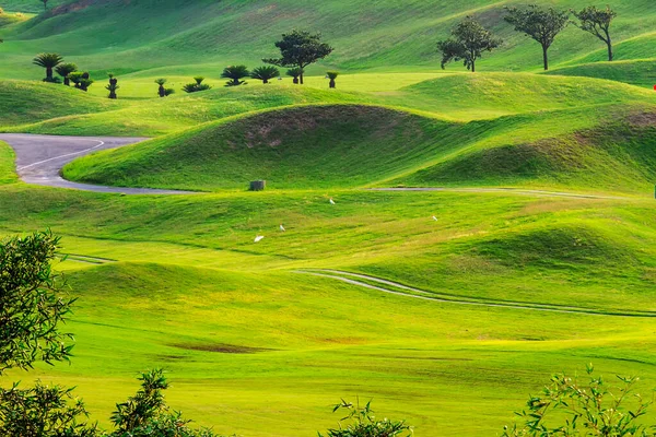 Het Prachtige Groene Uitzicht Groen Gras Zand Bankier Golfbaan Met — Stockfoto