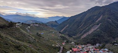 Fu Shou Shan Çiftliği, Tayvan - 17 Kasım 2011: Tayvan 'da yetişen tatlı ve organik erikli ve renkli akçaağaçlı güzel dağ