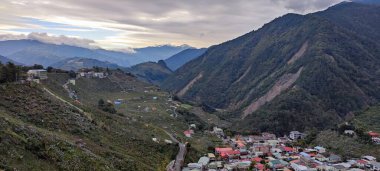 Fu Shou Shan Çiftliği, Tayvan - 17 Kasım 2011: Tayvan 'da yetişen tatlı ve organik erikli ve renkli akçaağaçlı güzel dağ
