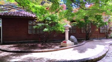 Fu Shou Shan Çiftliği, Tayvan - 17 Kasım 2011: Tayvan 'da yetişen tatlı ve organik erikli ve renkli akçaağaçlı güzel dağ