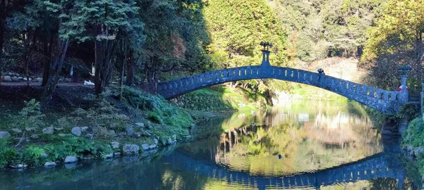 Zhushan Nantou Megye December 2021 Shanlinxi Forest Ecological Resort Funkciók — Stock Fotó