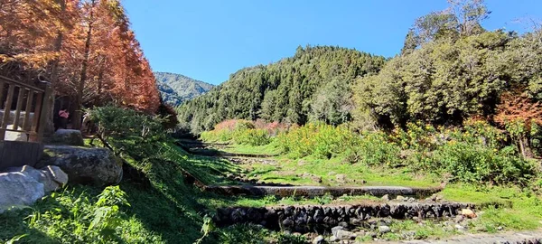 Zhushan Condado Nantou Diciembre 2021 Shanlinxi Forest Ecological Resort Ofrece — Foto de Stock