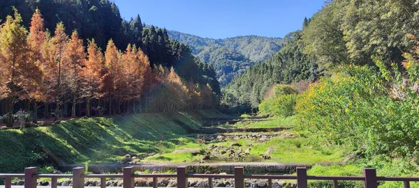 Zhushan Nantou County Joulukuu 2021 Shanlinxi Forest Ecological Resort Rikas — kuvapankkivalokuva