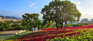 San-Tseng-Chi Şehir Parkı açık güneşli bir günde, Tayvan 'ın Taipei şehrinde, Beitou İlçesi' nde, çiçek festivali sırasında, mavi gökyüzünün altında, tepede renkli çiçek tarlalarıyla