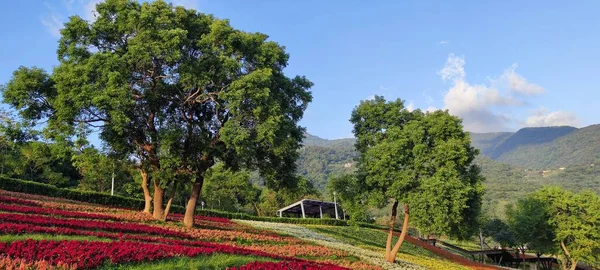 Park Miejski San Tseng Chi Jasny Słoneczny Dzień Kolorowymi Polami — Zdjęcie stockowe
