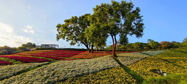 Parque Urbano San Tseng Chi Día Soleado Brillante Con Coloridos —  Fotos de Stock