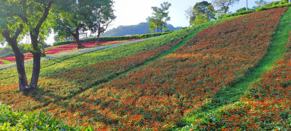 Taman Kota San Tseng Chi Pada Hari Yang Cerah Dengan — Stok Foto