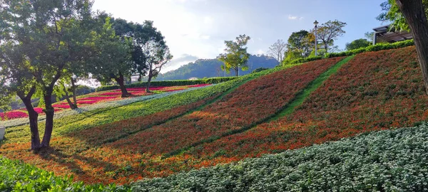 Parque Urbano San Tseng Chi Dia Ensolarado Brilhante Com Campos — Fotografia de Stock