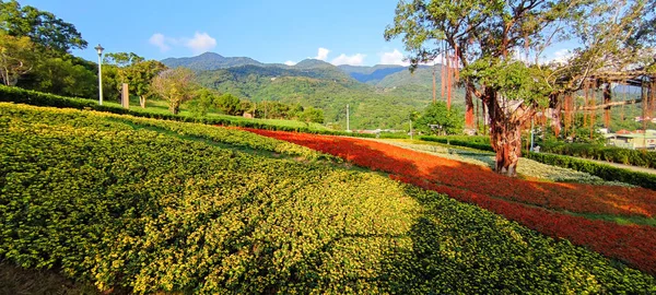 Der San Tseng Chi Urban Park Einem Strahlend Sonnigen Tag — Stockfoto