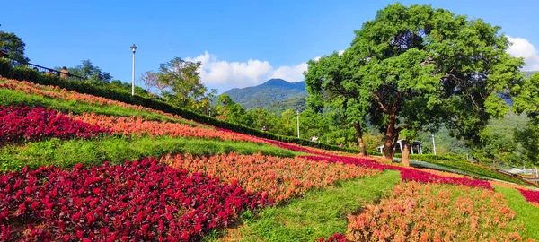 Der San Tseng Chi Urban Park Einem Strahlend Sonnigen Tag — Stockfoto