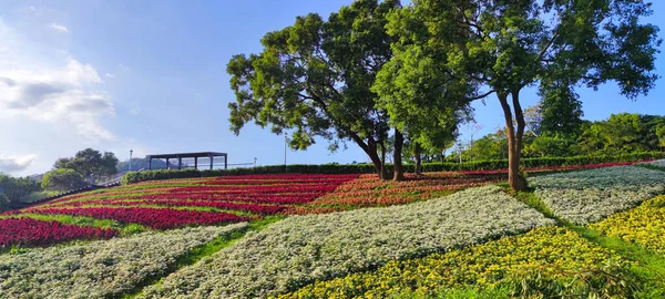 San Tseng Chi Şehir Parkı Açık Güneşli Bir Günde Tayvan — Stok fotoğraf