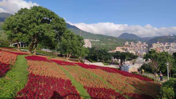 Den San Tseng Chi Urban Park Ljus Solig Dag Med — Stockvideo