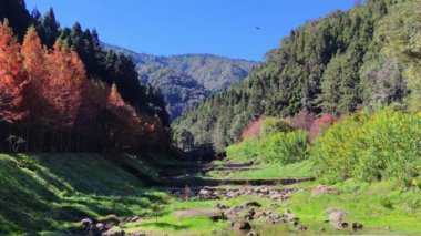 Shanlinxi Ormanı Ekolojik Tatil Köyü zengin tema aktiviteleri, mevsimlik çiçekler ve zengin ekolojiye sahiptir.