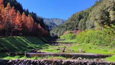 Shanlinxi Ormanı Ekolojik Tatil Köyü zengin tema aktiviteleri, mevsimlik çiçekler ve zengin ekolojiye sahiptir.