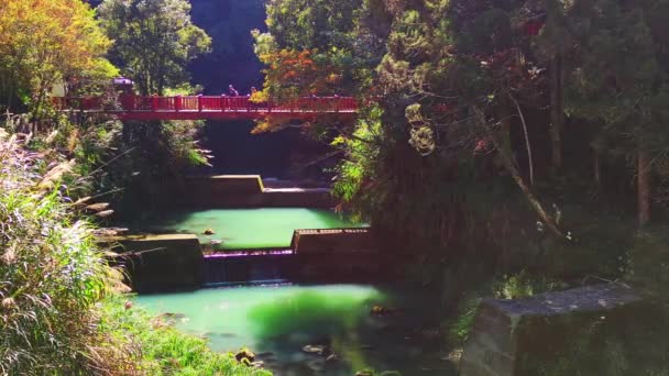 Shanlinxi Forest Ecological Resort Offre Ricche Attività Tema Fiori Stagionali — Video Stock