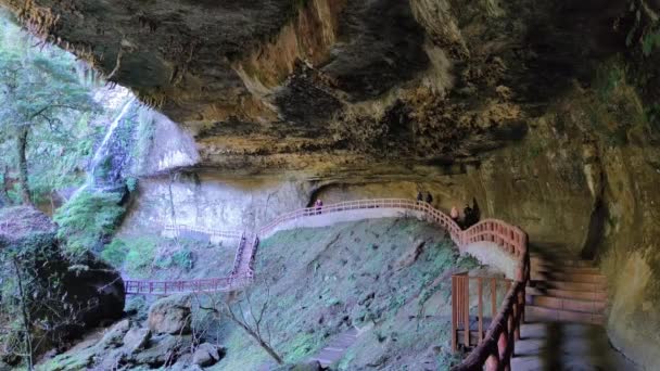 Shanlinxi Forest Ecological Resort Cuenta Con Ricas Actividades Temáticas Flores — Vídeo de stock