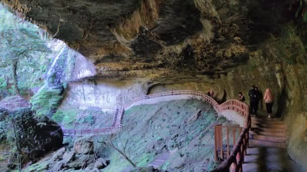 Shanlinxi Forest Ecological Resort Gazdag Tematikus Tevékenységeket Szezonális Virágok Gazdag — Stock videók