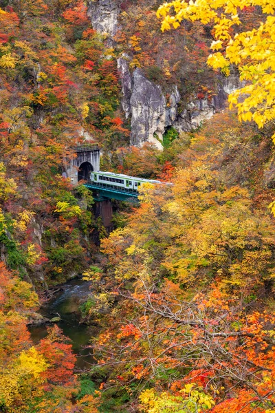 Долина Ущелья Наруко Железнодорожным Тоннелем Японии Мияги Тохоку — стоковое фото