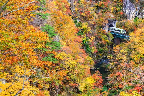 Valle Della Gola Naruko Con Tunnel Ferroviario Miyagi Tohoku Giappone — Foto Stock